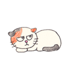 たぼたん（個別スタンプ：36）