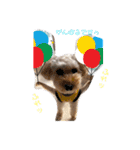 るぅく（トイプードル）（個別スタンプ：2）
