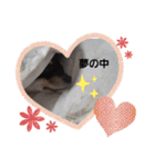 こはくちゃんa（個別スタンプ：9）