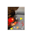 こはくちゃんa（個別スタンプ：14）