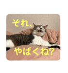 かわいい？りんたろうスタンプ（個別スタンプ：4）