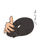 くろまるうさぎ（個別スタンプ：4）