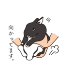 くろまるうさぎ（個別スタンプ：5）