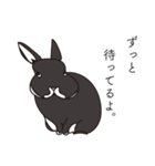 くろまるうさぎ（個別スタンプ：7）