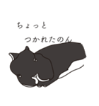 くろまるうさぎ（個別スタンプ：15）