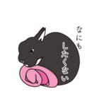 くろまるうさぎ（個別スタンプ：16）