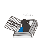 くろまるうさぎ（個別スタンプ：23）