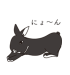 くろまるうさぎ（個別スタンプ：24）