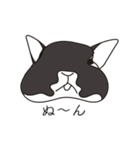 くろまるうさぎ（個別スタンプ：25）
