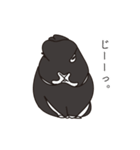 くろまるうさぎ（個別スタンプ：26）