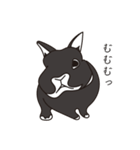 くろまるうさぎ（個別スタンプ：30）