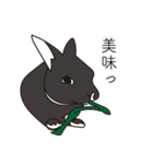 くろまるうさぎ（個別スタンプ：31）