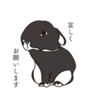 くろまるうさぎ（個別スタンプ：34）