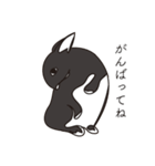 くろまるうさぎ（個別スタンプ：38）