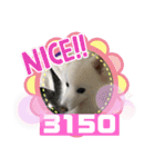 スピッツファミリー⑤（個別スタンプ：6）