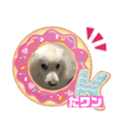 スピッツファミリー⑤（個別スタンプ：9）
