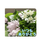 my-photo-感謝（個別スタンプ：3）