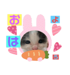 ぽてちゃんの毎日使えるスタンプ（個別スタンプ：2）