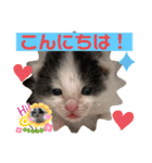 ぽてちゃんの毎日使えるスタンプ（個別スタンプ：4）