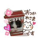 ぽてちゃんの毎日使えるスタンプ（個別スタンプ：14）