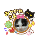 ぽてちゃんの毎日使えるスタンプ（個別スタンプ：15）