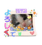 ぽてちゃんの毎日使えるスタンプ（個別スタンプ：32）