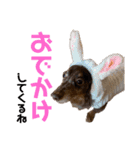 べべとミルと時々チャイ（個別スタンプ：3）