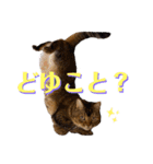 べべとミルと時々チャイ（個別スタンプ：7）