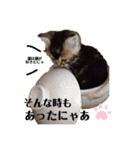 べべとミルと時々チャイ（個別スタンプ：9）