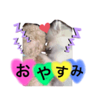 ロコ＆モアナ（個別スタンプ：4）