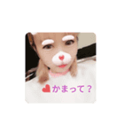 あみ汰ちゃんすたんぷ♡♡（個別スタンプ：4）