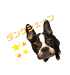 フレブルのアンジュ2（個別スタンプ：4）