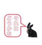 フレブルのアンジュ2（個別スタンプ：17）