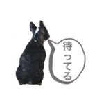 フレブルのアンジュ2（個別スタンプ：21）