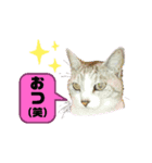 ひぃと花子②（個別スタンプ：1）