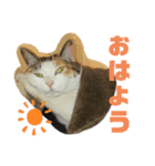 ひぃと花子②（個別スタンプ：2）
