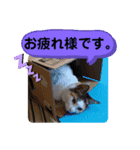 ひぃと花子②（個別スタンプ：3）