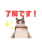 ひぃと花子②（個別スタンプ：4）
