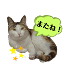ひぃと花子②（個別スタンプ：5）