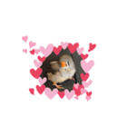 黒豆ちゃん stamp3（個別スタンプ：2）