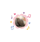 黒豆ちゃん stamp3（個別スタンプ：14）