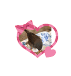 黒豆ちゃん stamp3（個別スタンプ：23）