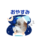 なっつスタンプ♡ちわぷー（個別スタンプ：4）