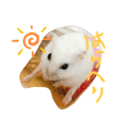 はむのいる生活（個別スタンプ：9）