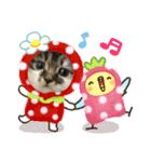 子猫ちゃん(animal)（個別スタンプ：2）