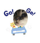 子猫ちゃん(animal)（個別スタンプ：9）