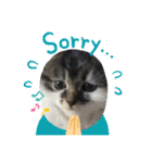 子猫ちゃん(animal)（個別スタンプ：10）