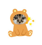 子猫ちゃん(animal)（個別スタンプ：21）