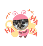 子猫ちゃん(animal)（個別スタンプ：23）