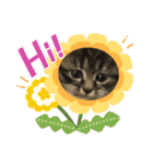 子猫ちゃん(animal)（個別スタンプ：24）